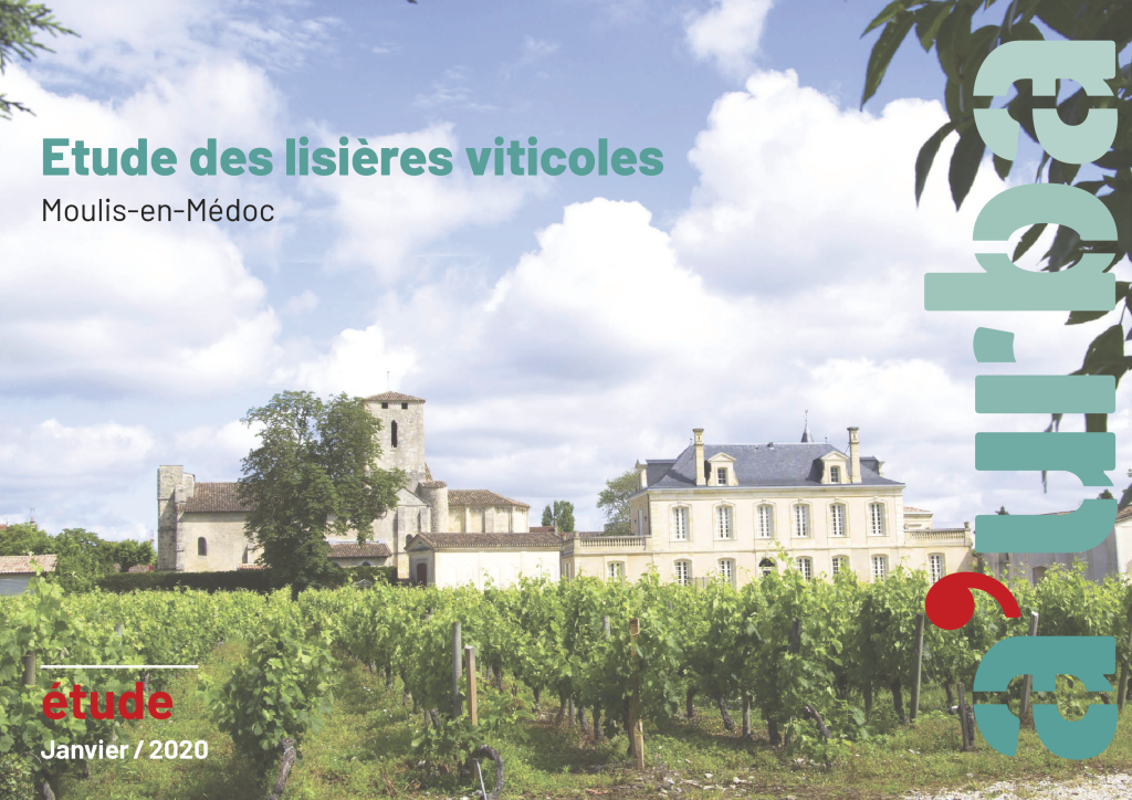 aurba2020__Projet_lisiere_Moulis